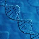 生物安全櫃檢測